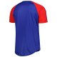 Men's Texas Rangers Stitches Royal Button-Down Raglan Fashion Jersey