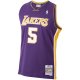 Men's Los Angeles Lakers Robert Horry Mitchell & Ness Purple 1999/00 Hardwood Classics Swingman Jersey