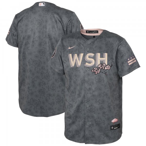 Youth Washington Nationals Nike Gray City Connect Replica Jersey