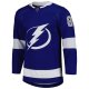 Men's Tampa Bay Lightning Andrei Vasilevskiy adidas Blue  Primegreen Player Jersey